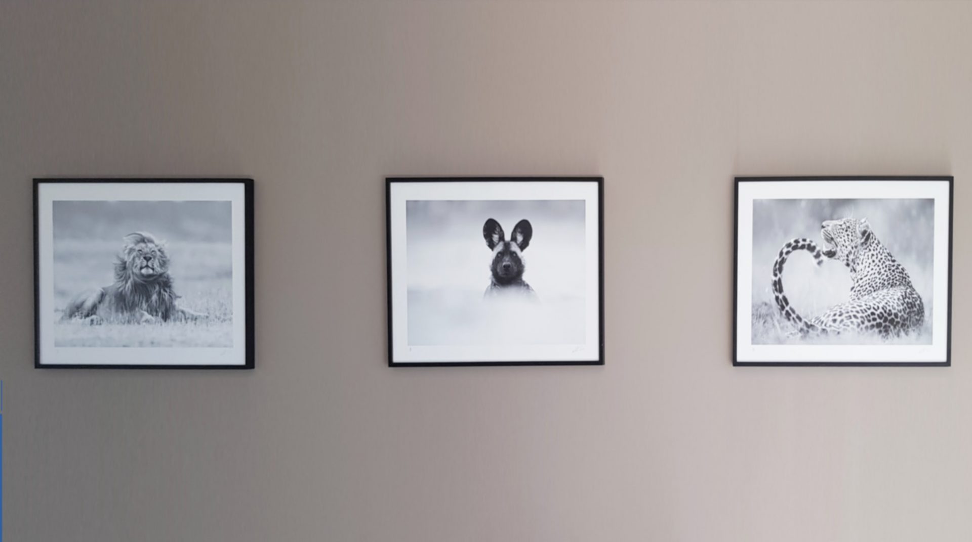 Picture Frames Conservation Framers Funky Frames Cape Town